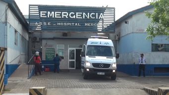 fiscal aguarda pericia al feto hallado en alcantarilla para determinar si el aborto fue espontaneo o provocado