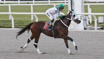 Subrayado | MICRO TURF 16 D ABR