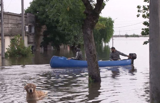 Evacuados y autoevacuados en el país. 