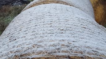 Heladas y muy bajas sensaciones térmicas. (Foto: Helada en Paysandú, 31 de mayo, tomada por el productor rural Matías Manito y compartida con Subrayado).