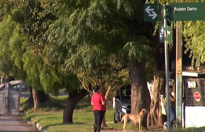 flor-de-maroñas-bebé-ataque-a-balazos