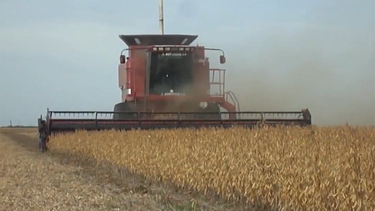 Presidente de la Federación Rural señala un 