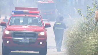 Las llamas ya fueron extinguidas, en horas de la tarde del domingo.
