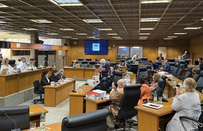 comision-especial-acuerdo-mercosur-union-europea-caggiani