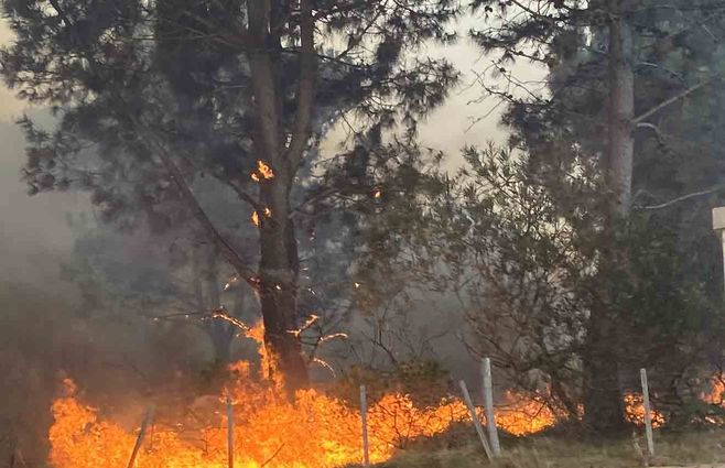 Foto: Silvana Goicoechea