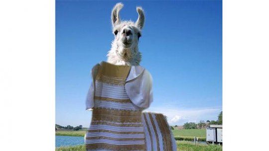 llama vestido