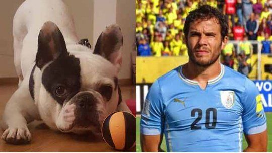 Tata González Wilson