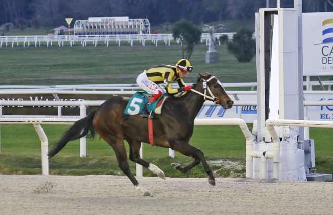 incalcanzable turf  (2).jpg