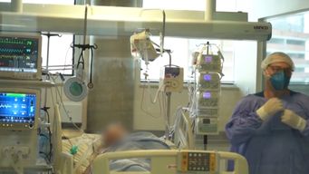 proyecto de ley de eutanasia: los pasos que debe seguir el paciente y el rol de los medicos