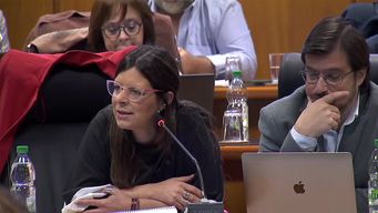 inau a comision por presupuesto: senadores coinciden en una realidad muy conmovedora y una situacion compleja