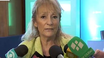 mef rechazo pedido de imm por recursos del bid y cosse respondio: estoy indignada