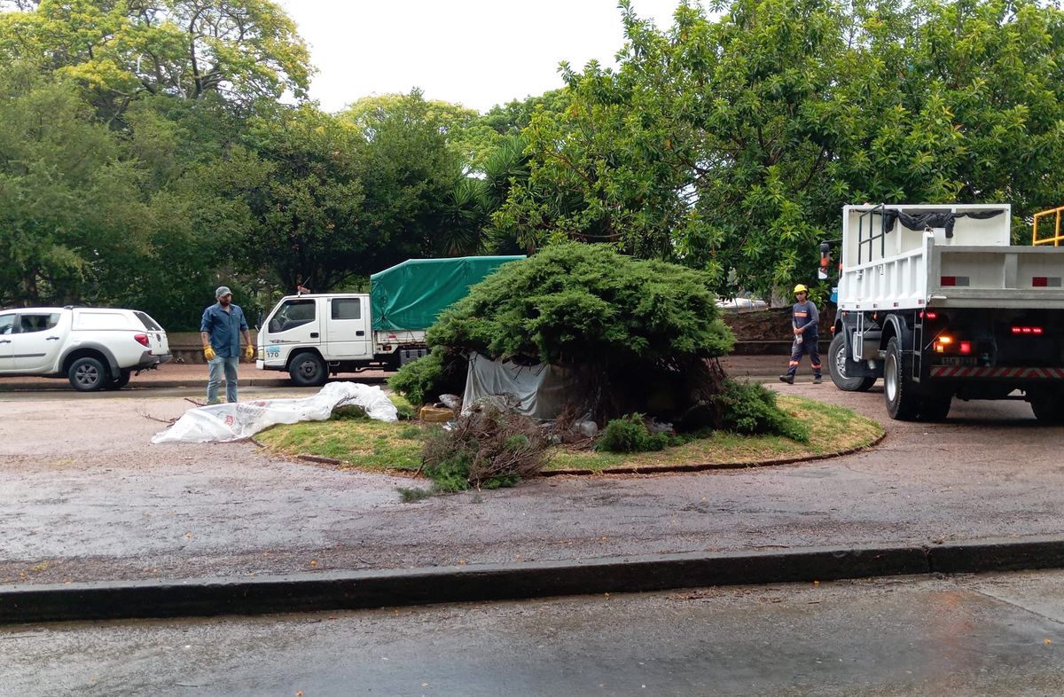 Foto: Lorena Nachajón, Subrayado. Foto: Lorena Nachajón, Subrayado.