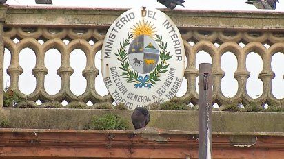 hallan 20 kilos de cocaina en un auto en una estacion de servicio