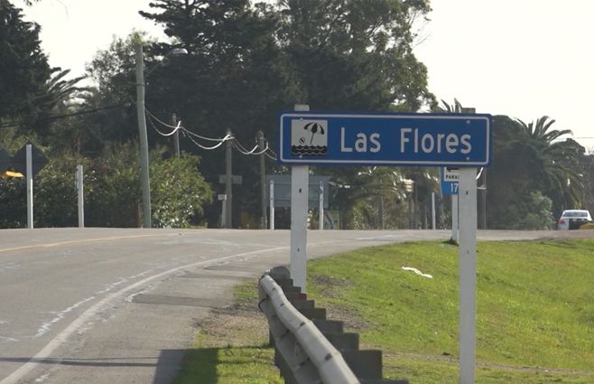 las flores maldonado