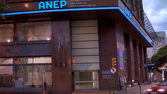 anep apelara fallo que archivo denuncia por presunta vulneracion del derecho a la educacion en ninos menonitas