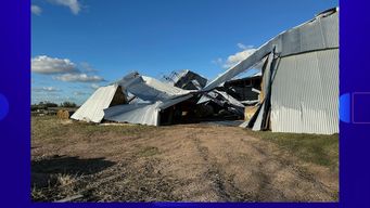 mgap evalua afectacion a productores por temporal en canelones; algunos tuvieron perdidas totales