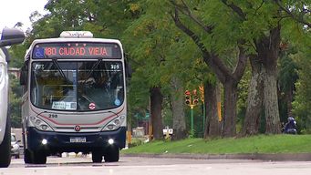 intendencia de montevideo anuncio que se podra recargar la stm de forma online
