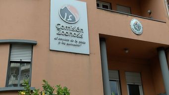 primera de tres jornadas de vacunacion gratuita a perros y gatos tras nuevo caso de murcielago con rabia