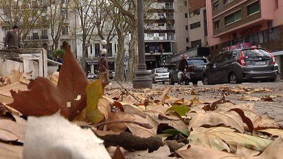 despues de la ola de frio polar, se vendran las lluvias, segun inumet