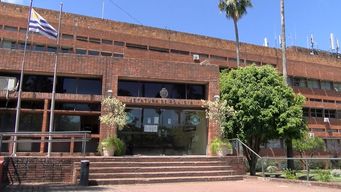 mujer de 80 anos estafada por usd 26.000 con cuento del tio; se hicieron pasar por su nieto