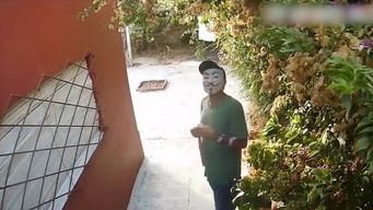 El delincuente fue enviado a prisión por seis meses.