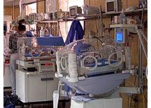 Mortalidad infantil baja; preocupan malformaciones y prematurez