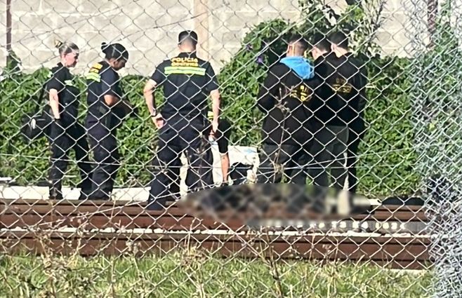 cuerpo-hallados-vias-del-tren-sayago