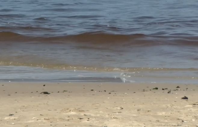 agua-marrón-noctilucas-punta