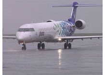 Unos treinta vuelos demorados por cenizas volcánicas