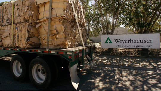 weyerhaeuser