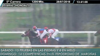 Subrayado | MICRO TURF 3 D AGOS