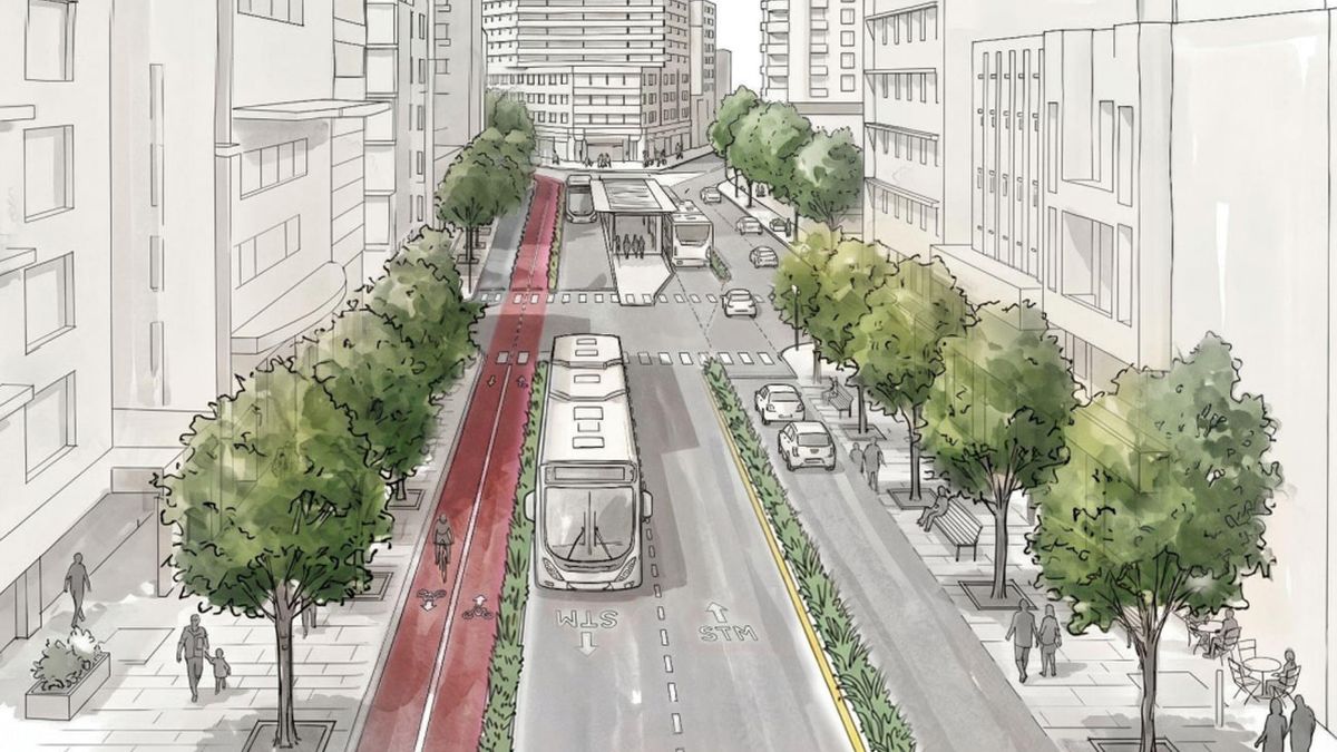 IMM dio a conocer cada cuánto tiempo pasarán los nuevos ómnibus rápidos en 18 de Julio, 8 de Octubre y Avenida Italia