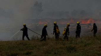 Incendio forestal. Foto: archivo Subrayado.