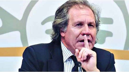 luis almagro