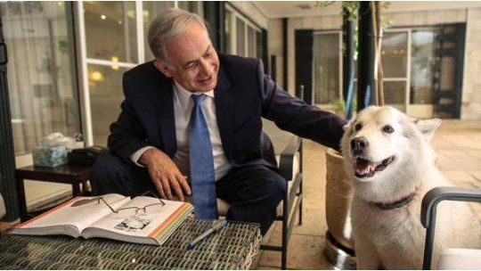 perra Netanyahu