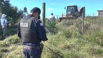 intendencia de rocha demolio viviendas de fraccionamiento irregular en balneario garzon