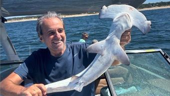 monzeglio pidio disculpas y se reporto ante mgap y ambiente tras publicar foto de pesca con tiburon martillo