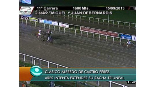 Fin de semana a puro turf con más de 33 carreras