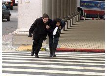 20.000 hogares sin luz, árboles caídos y 9 rutas cortadas