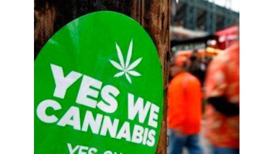 Marihuana libre, matrimonio igualitario y otros 178 temas votados