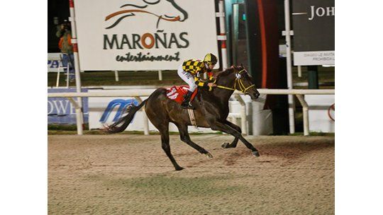 Sir fever y Santaguapa, las atracciones del fin de semana hípico