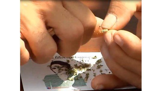 Diputado del FA pone en suspenso la legalización de la marihuana