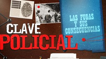 clave policial: fugas en el inisa; las preocupaciones de la policia y como terminaron otros casos