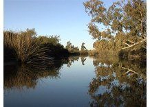 El cercano Oeste: un paseo por los humedales de Montevideo