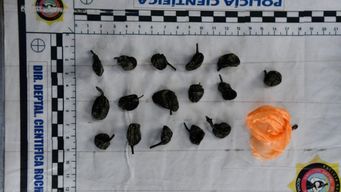 operacion alcatraz con 11 mujeres imputadas por ingreso y venta de drogas en carceles