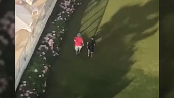 robaron casas, los vecinos los filmaron y la policia los detuvo