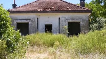mataron a un hombre en colonia: su cuerpo fue encontrado en una casa atado de pies y manos