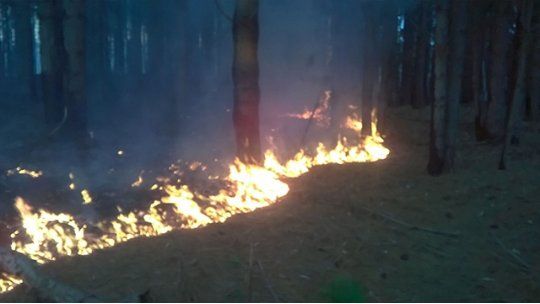 incendio