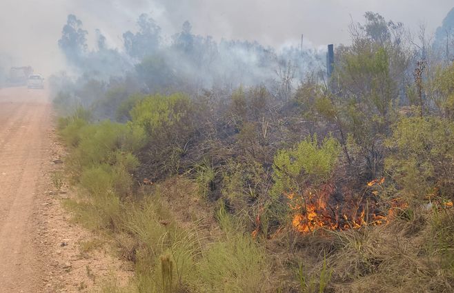 Foto: Nicolás Vigliola, Subrayado.