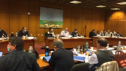 comision de presupuesto del senado incluyo 12 mejoras por 300 millones de pesos